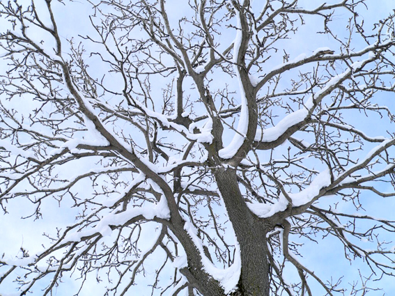 snow.jpg